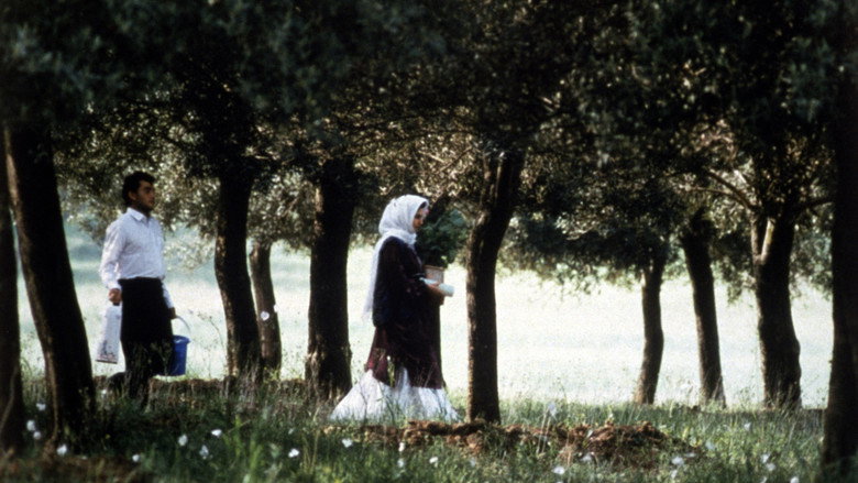 Through the Olive Trees backdrop 4