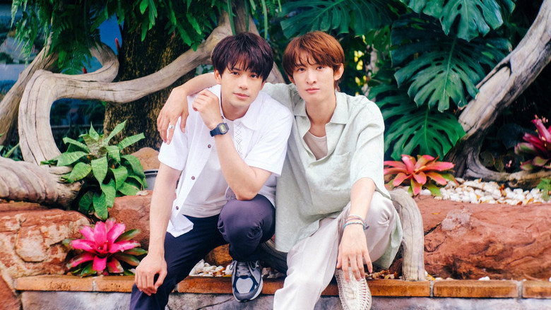 (Love Song) backdrop 4