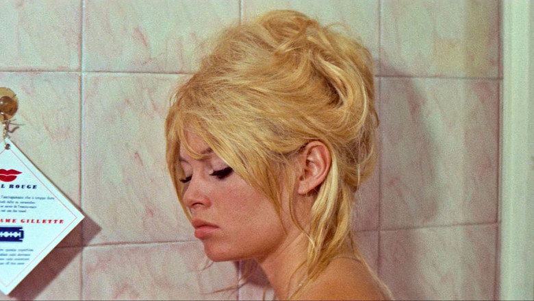 Contempt backdrop 8