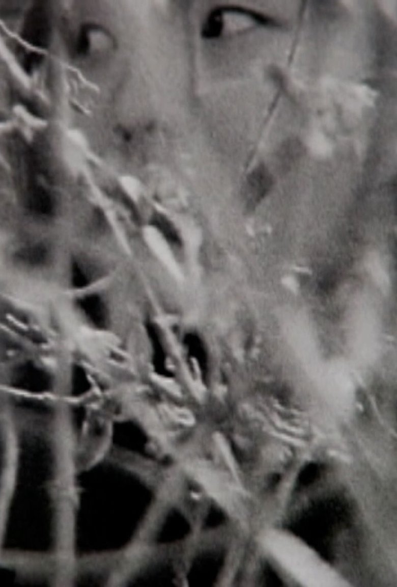 Visible Cinema