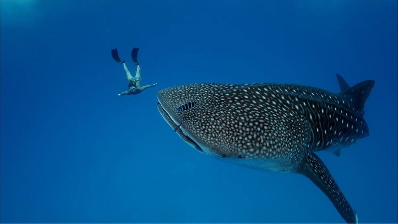 Ultimate Freedive: The Great Barrier Reef backdrop 5