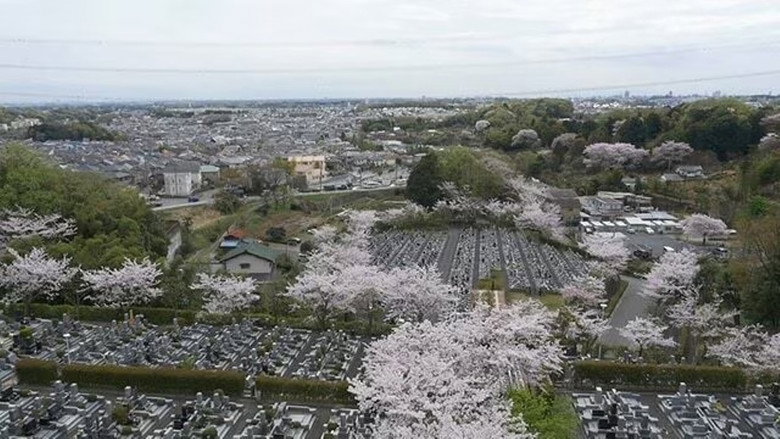 Jumokuso: Resting Beneath a Cherry Tree