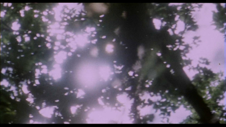 Belle de Nature backdrop 4