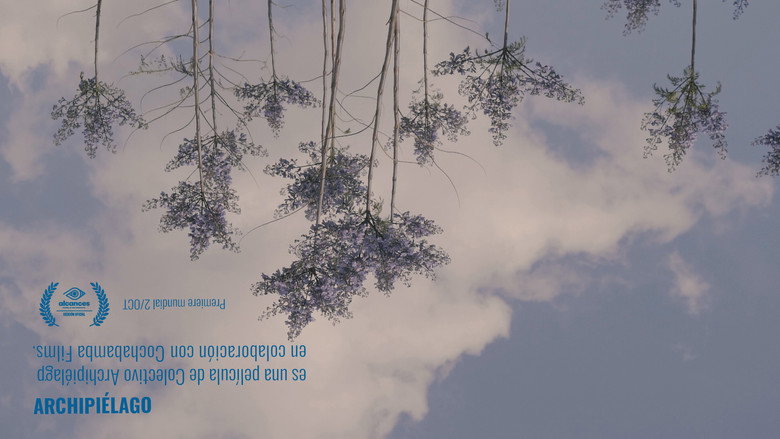 Archipelago backdrop 7