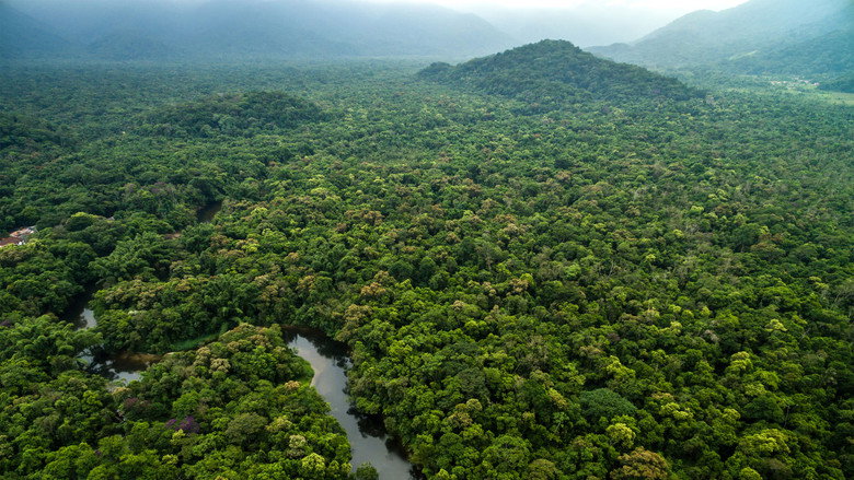 Guyane : L'or de la discorde backdrop 1