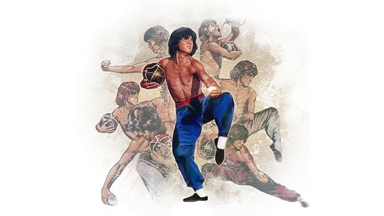 The World of Drunken Master backdrop 4