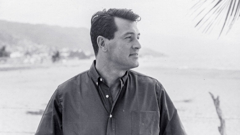 Rock Hudson: All That Heaven Allowed backdrop 6