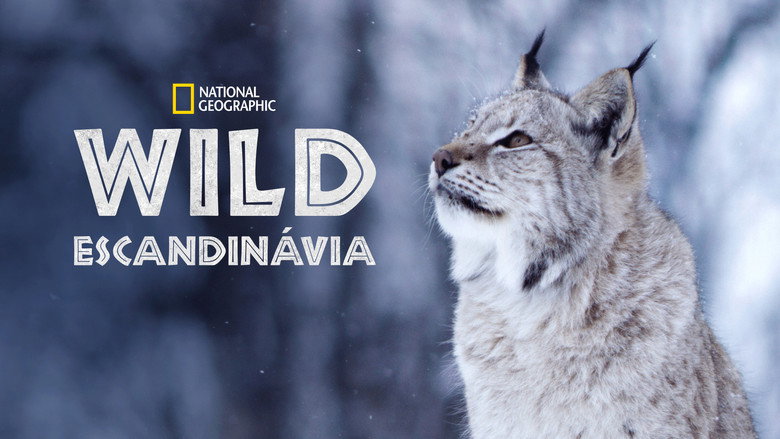 Wild Nordic backdrop 7