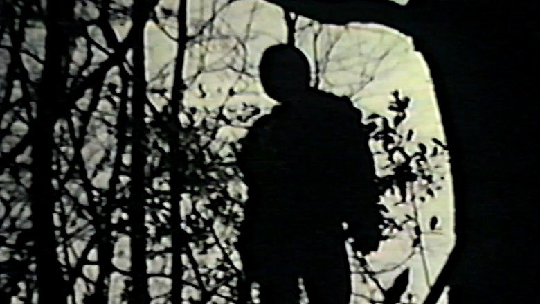 Channel 13 backdrop 7