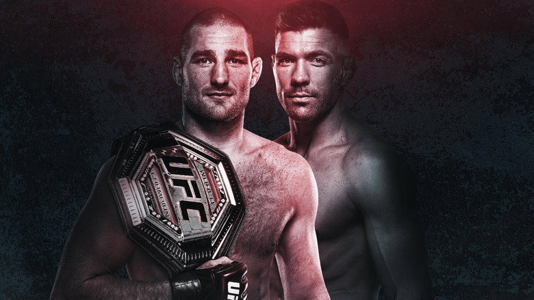 UFC 297: Strickland vs. du Plessis backdrop 2