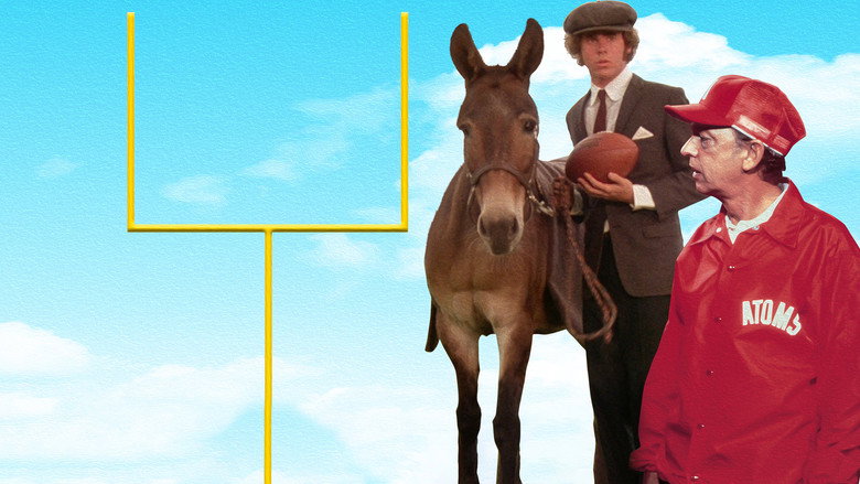 Gus backdrop 5