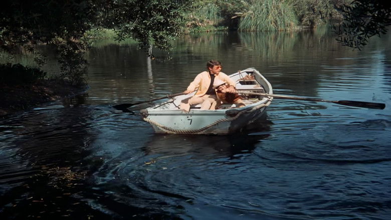 Guess Who's Coming for Lunch?