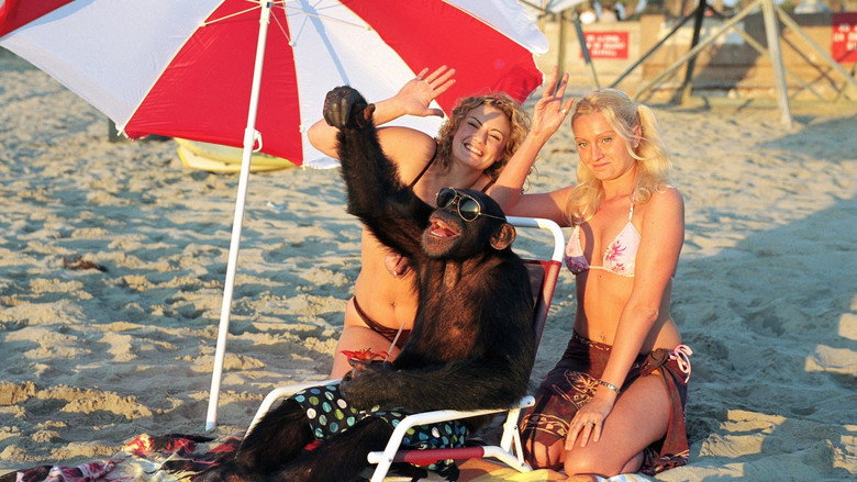 Funky Monkey backdrop 6