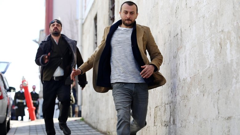 Mehmet Yiğit Alp