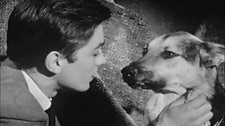 Le Chien backdrop 4