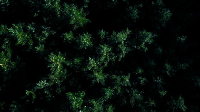 Mirage backdrop 7