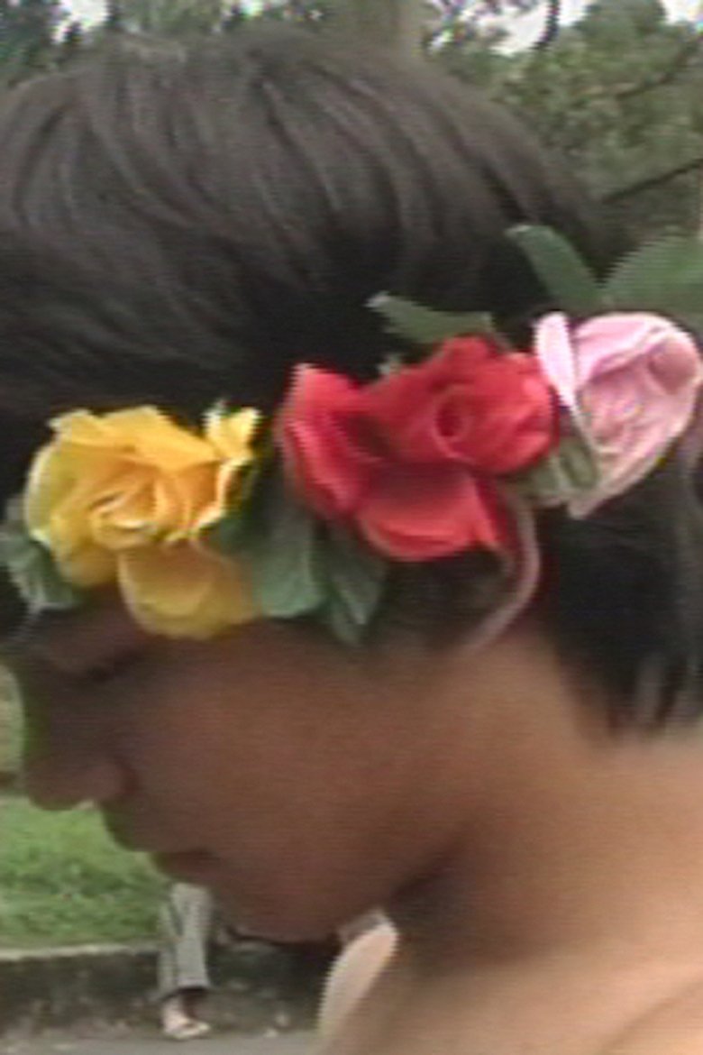 Looking for the Salt