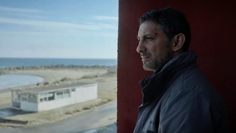 Sorin Dobrin