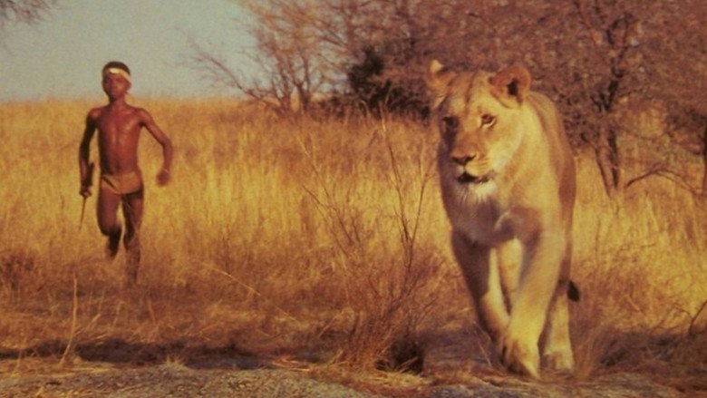 The Lion Child backdrop 2