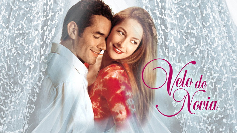 Velo de novia backdrop 3