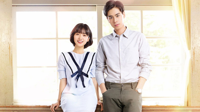 A Love So Beautiful backdrop 5
