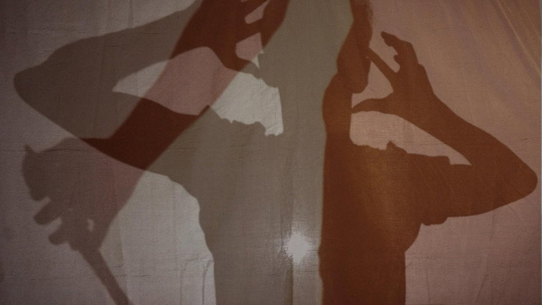 Echo Sonata backdrop 6