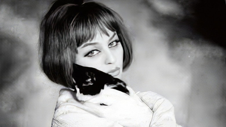 A Cure for Love backdrop 9