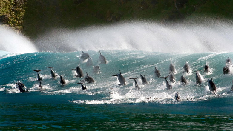 Blue Planet II backdrop 3