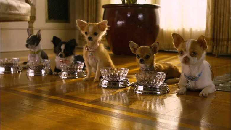 Beverly Hills Chihuahua 2 backdrop 4