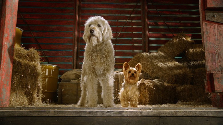 𝐖𝐚𝐭𝐜𝐡 Pup Star (2016) 𝐅𝐮𝐥𝐥 𝐌𝐨𝐯𝐢𝐞 𝐅𝐫𝐞𝐞 𝐎𝐧𝐥𝐢𝐧𝐞