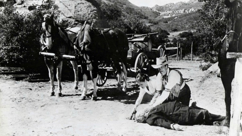 𝐖𝐚𝐭𝐜𝐡 I Killed Wild Bill Hickok (1956) 𝐅𝐮𝐥𝐥 𝐌𝐨𝐯𝐢𝐞 𝐅𝐫𝐞𝐞 𝐎𝐧𝐥𝐢𝐧𝐞