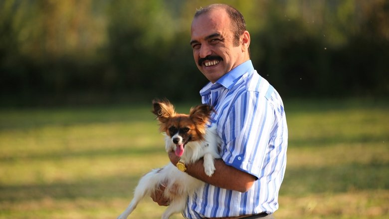 Emin Olcay