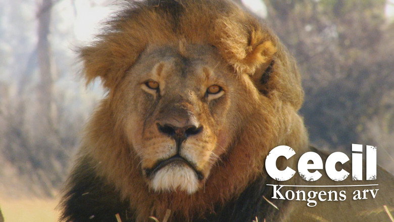 Cecil: The Legacy of a King backdrop 4