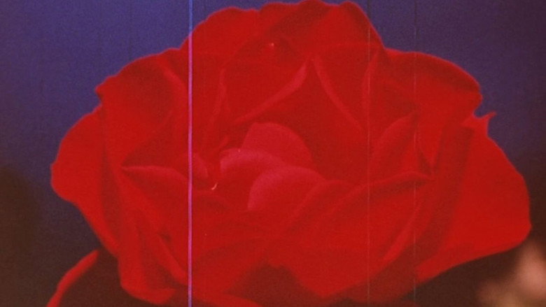 The Rose King backdrop 8