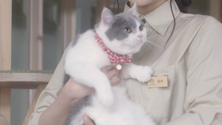 Cat Cafe backdrop 2