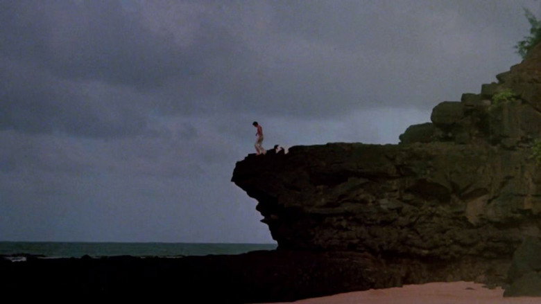 Prisoner of Paradise backdrop 3
