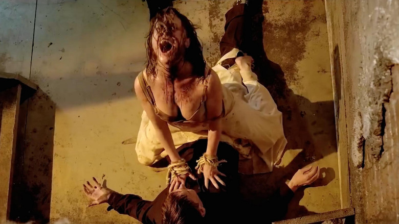 The Possession Experiment backdrop 6