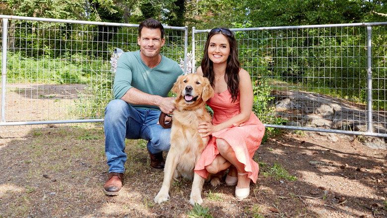 Love and Sunshine backdrop 4