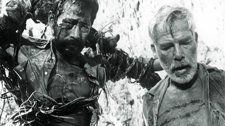 Hell in the Pacific backdrop 7