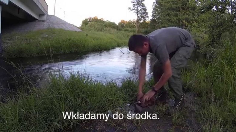 Episode 6