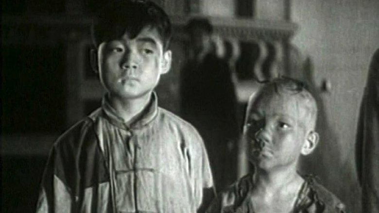 Zhengyi Fu