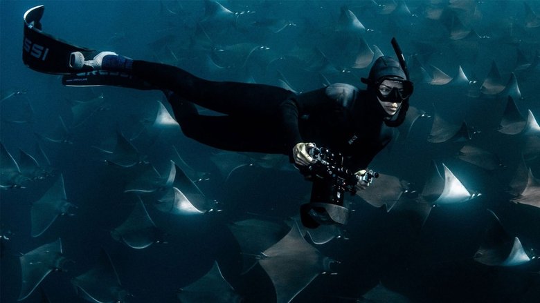 Deep Dive North America