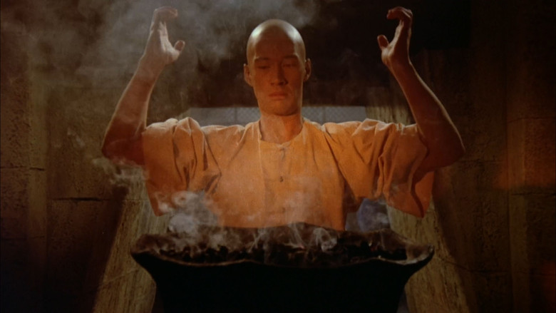 Kung Fu backdrop 6