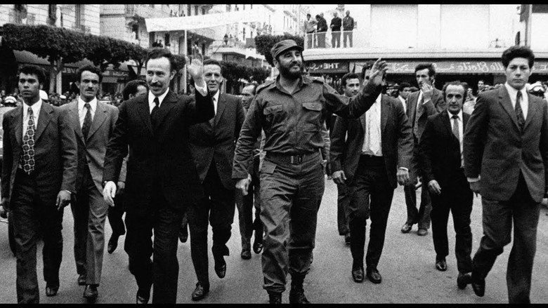 Algiers, the Mecca of Revolutionaries (1962-1974) backdrop 2
