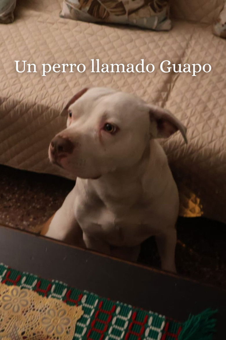 A Dog Called Guapo