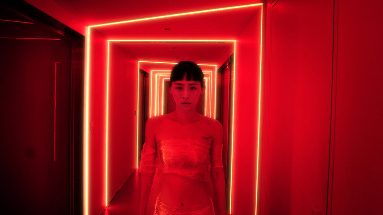 Nina Wu backdrop 8
