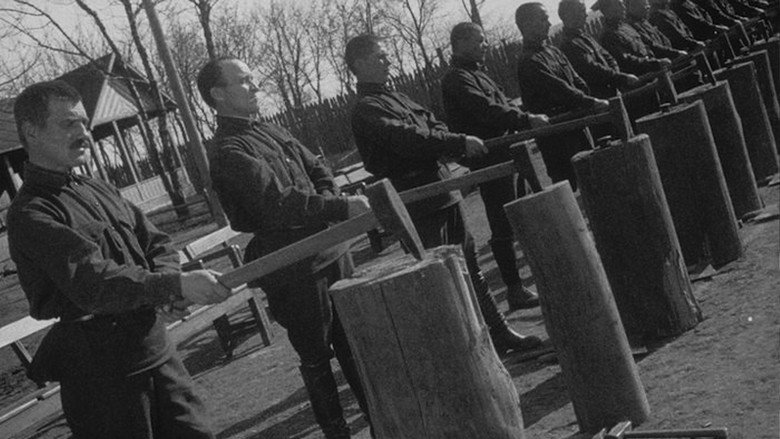 Enthusiasm. Symphony of Donbas backdrop 4
