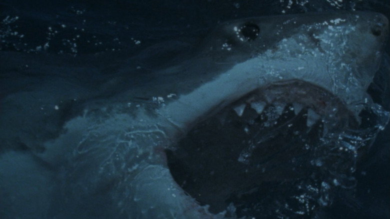 Deep Blood backdrop 6