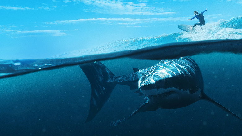 When Sharks Attack 360 backdrop 6
