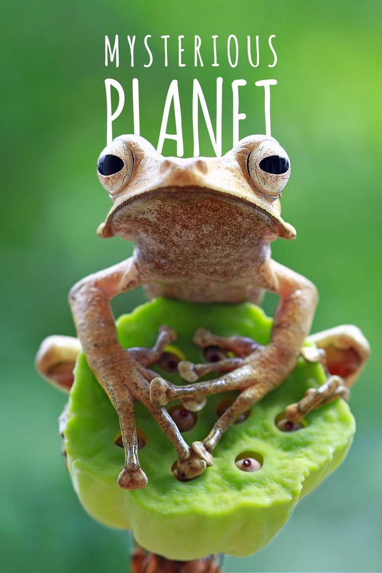 /jIVvMPJ7CLqPmglkFLvWWbZrmcw.jpg